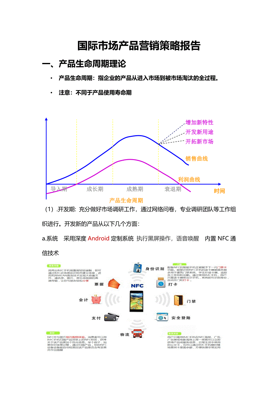 国际产品生命周期策略报告_第1页