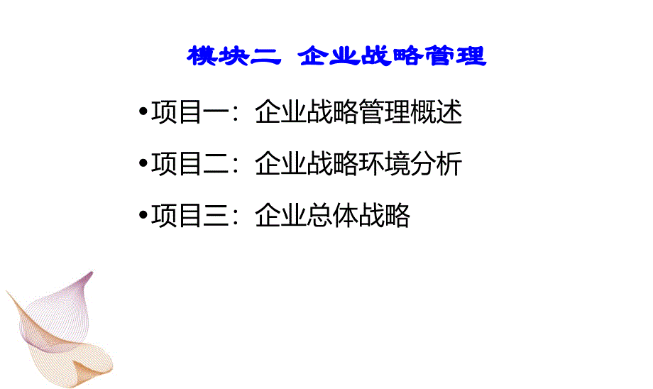 现代企业管理企业战略管理_第2页