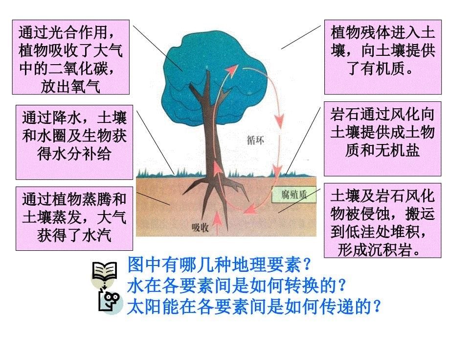 32自然地理环境的整体性课件湘教版必修一_第5页