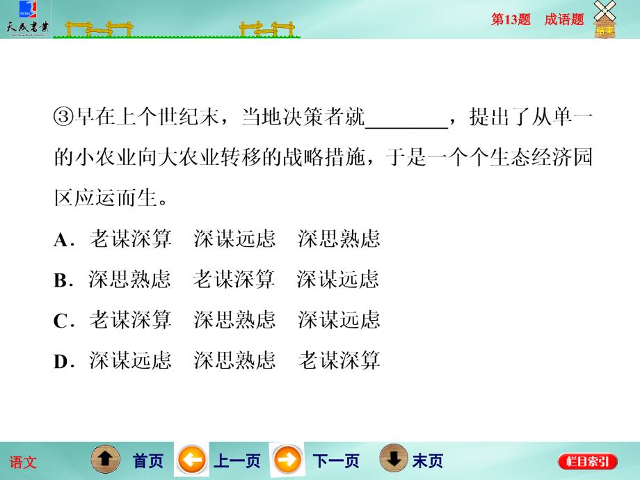 射洪中学补习班专用教案第13题成语题_第4页