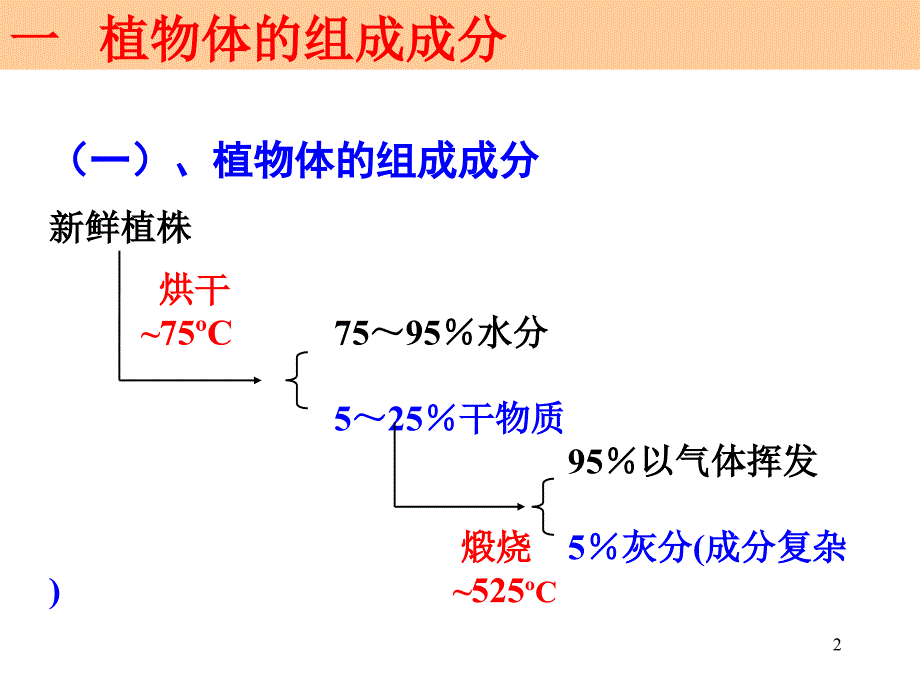 《植物的营养成分》PPT课件_第2页