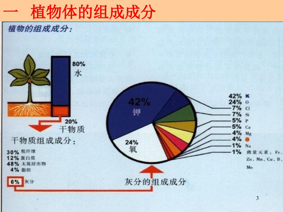 《植物的营养成分》PPT课件_第3页