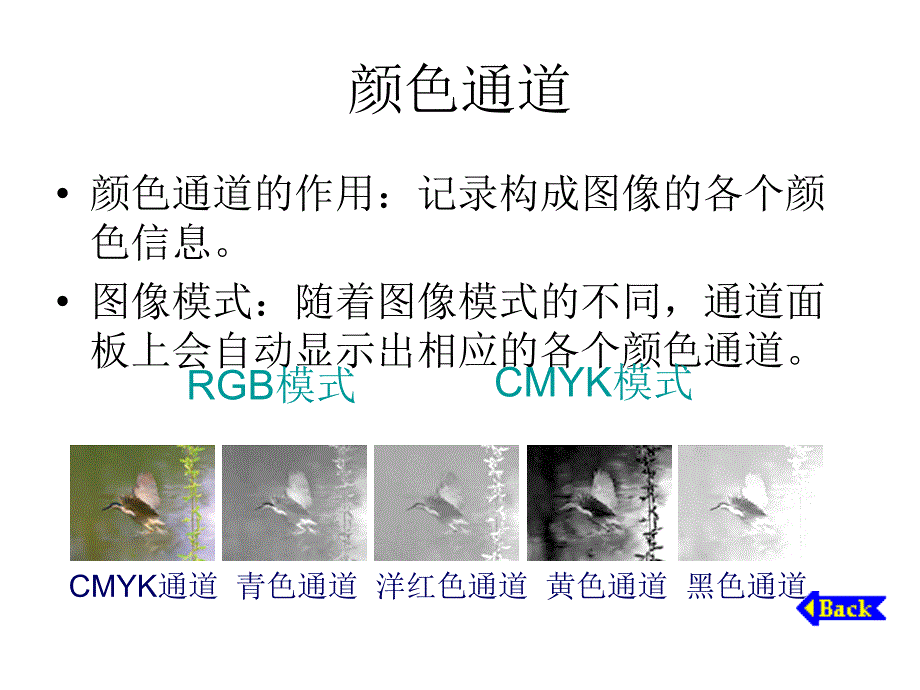 photoshop图像处理教程第5章通道与蒙版_第2页