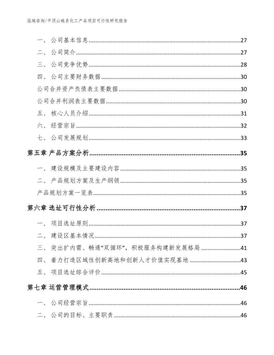 平顶山硫系化工产品项目可行性研究报告_范文参考_第2页