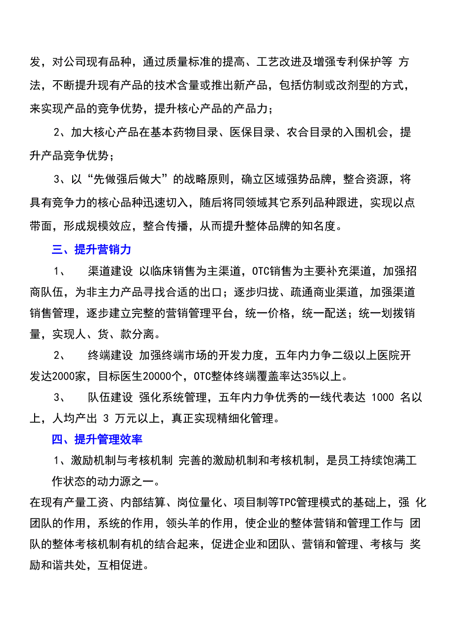 五年战略规划模板_第2页