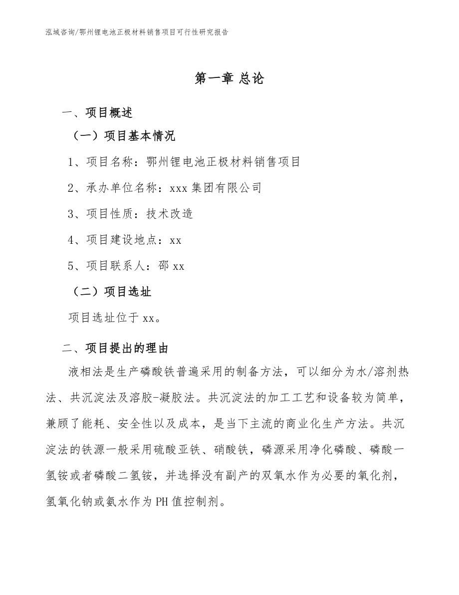 鄂州锂电池正极材料销售项目可行性研究报告【模板参考】_第5页