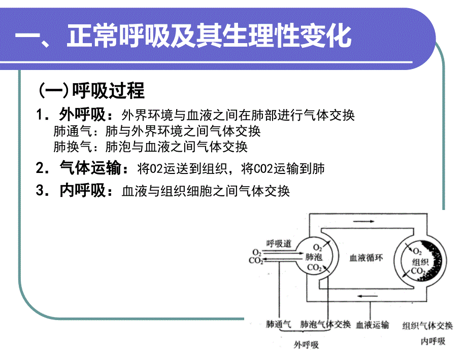 呼吸的观察与护理_第2页