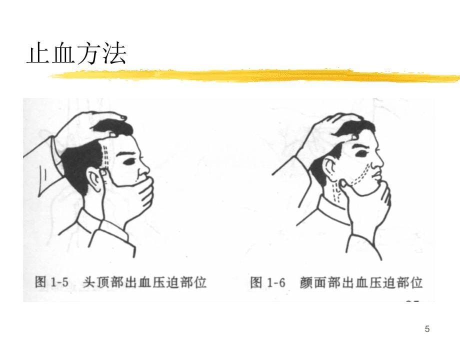 人体解剖生理学实验急救技术参考PPT_第5页