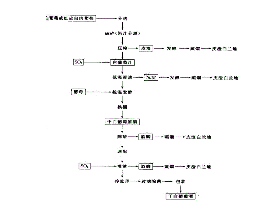 白葡萄酒的酿造ppt课件_第3页