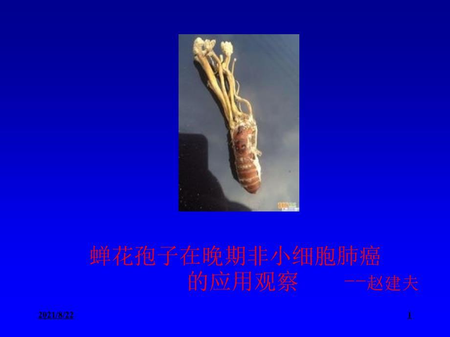 赵建夫：蝉花孢子粉对肺癌的应用观察推荐课件
