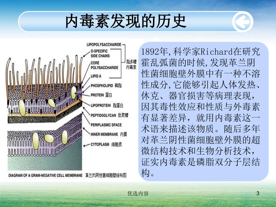 内毒素的检测及意义【特选材料】_第3页