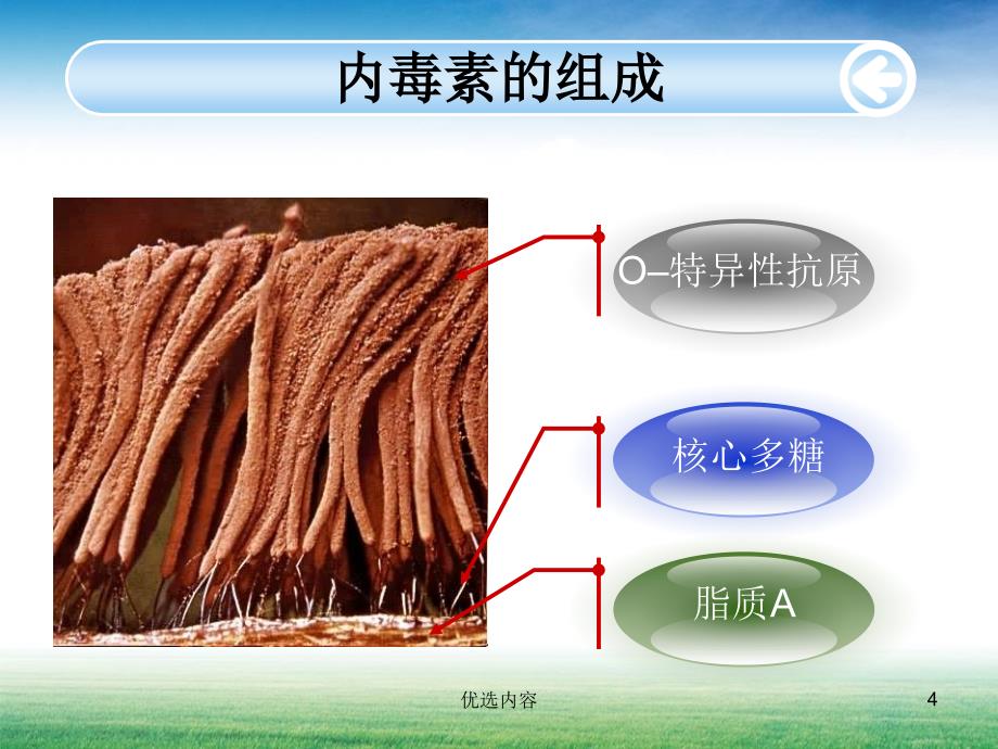 内毒素的检测及意义【特选材料】_第4页