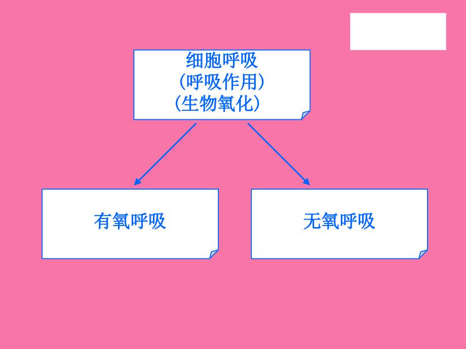 高三复习光合作用呼吸作用ppt课件_第4页