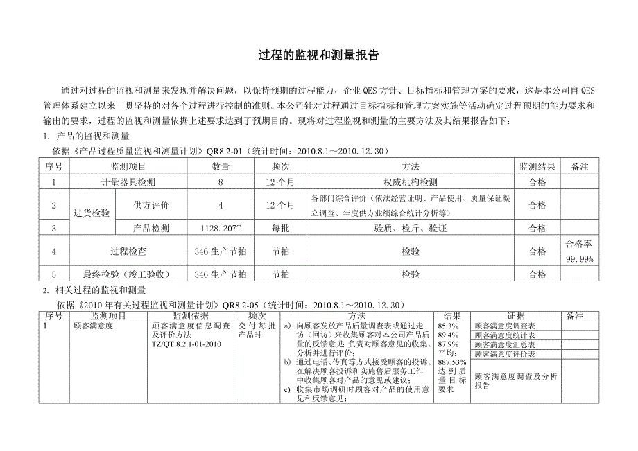 过程的监视和测量报告_第1页