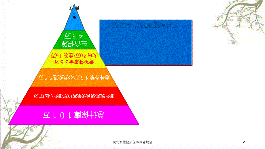 现代女性健康保障养老规划课件_第2页