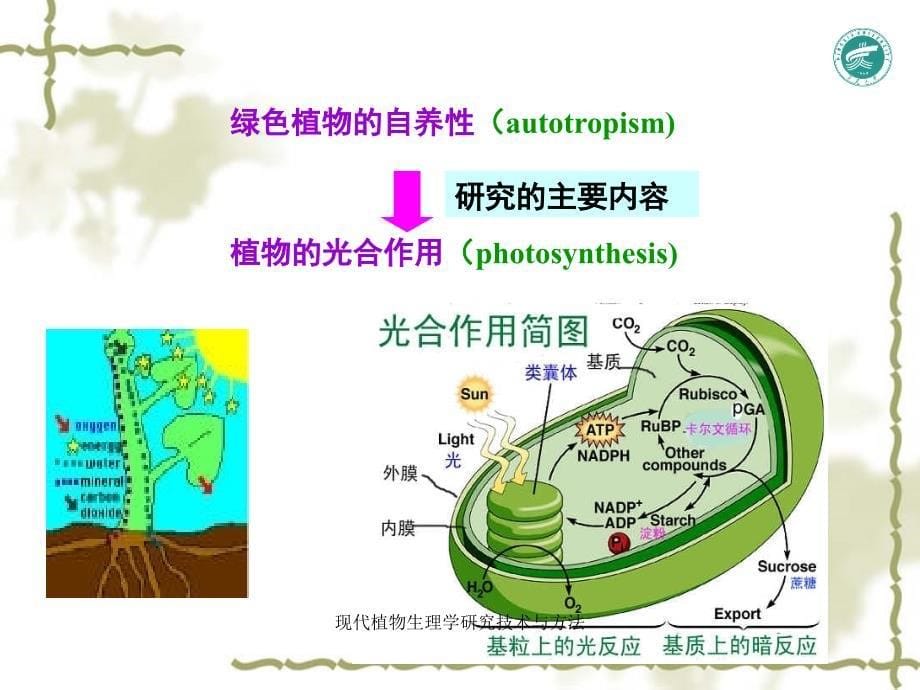 现代植物生理学研究技术与方法_第5页