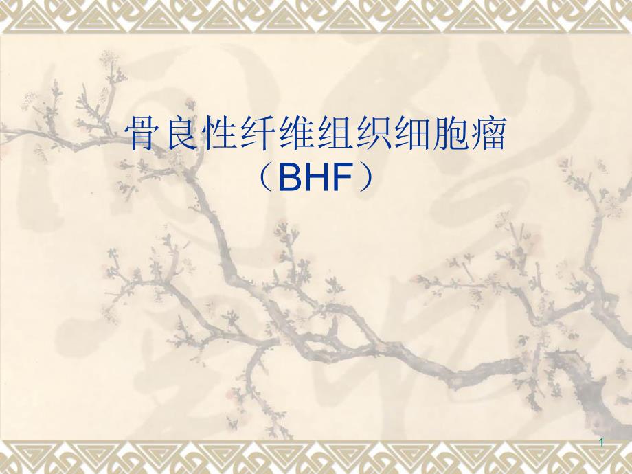 骨良性纤维组织细胞瘤BHF影像诊断_第1页