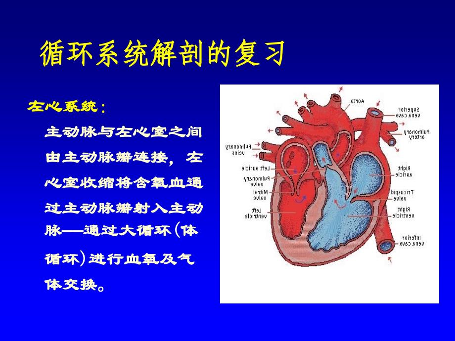 循环查体视触扣.ppt_第4页