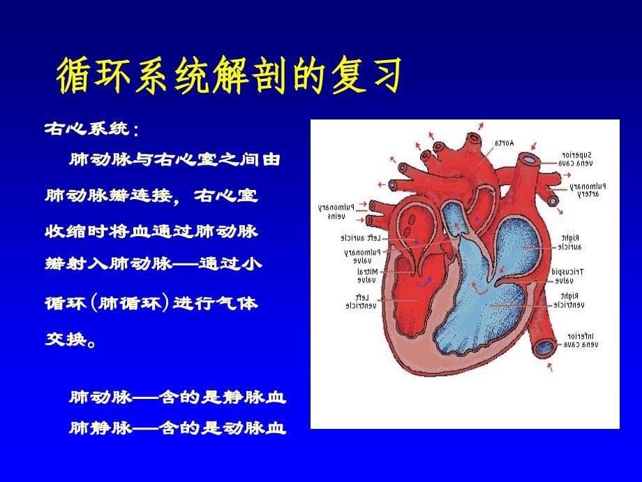 循环查体视触扣.ppt_第5页