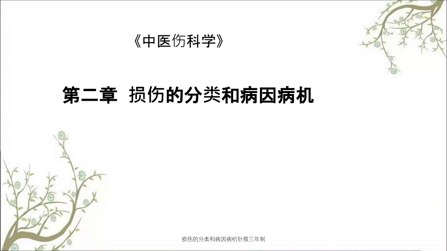 损伤的分类和病因病机针推三年制_第1页