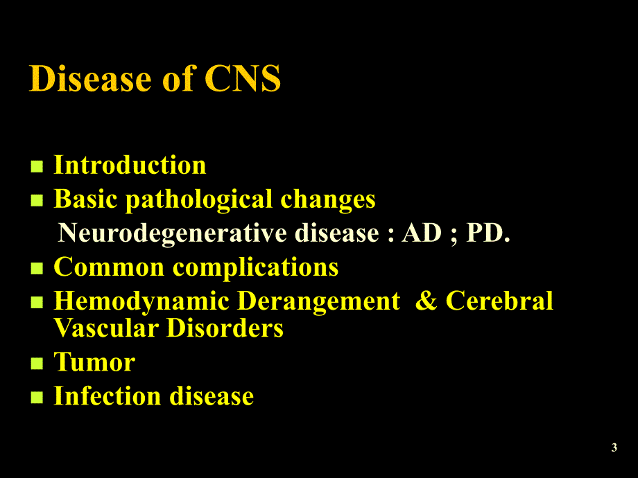 病理学教学课件：Disease of Central Nervous System_第3页