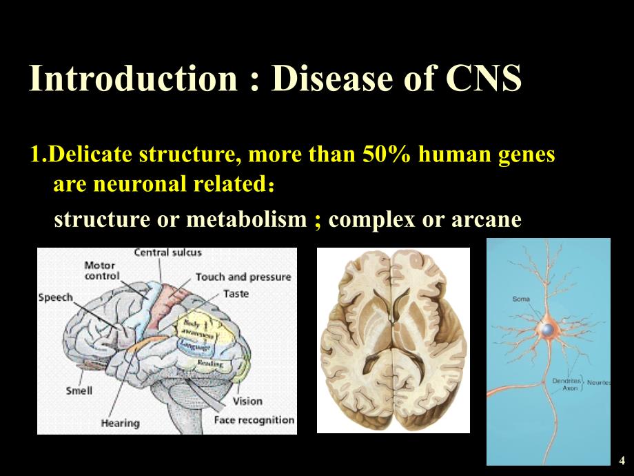 病理学教学课件：Disease of Central Nervous System_第4页