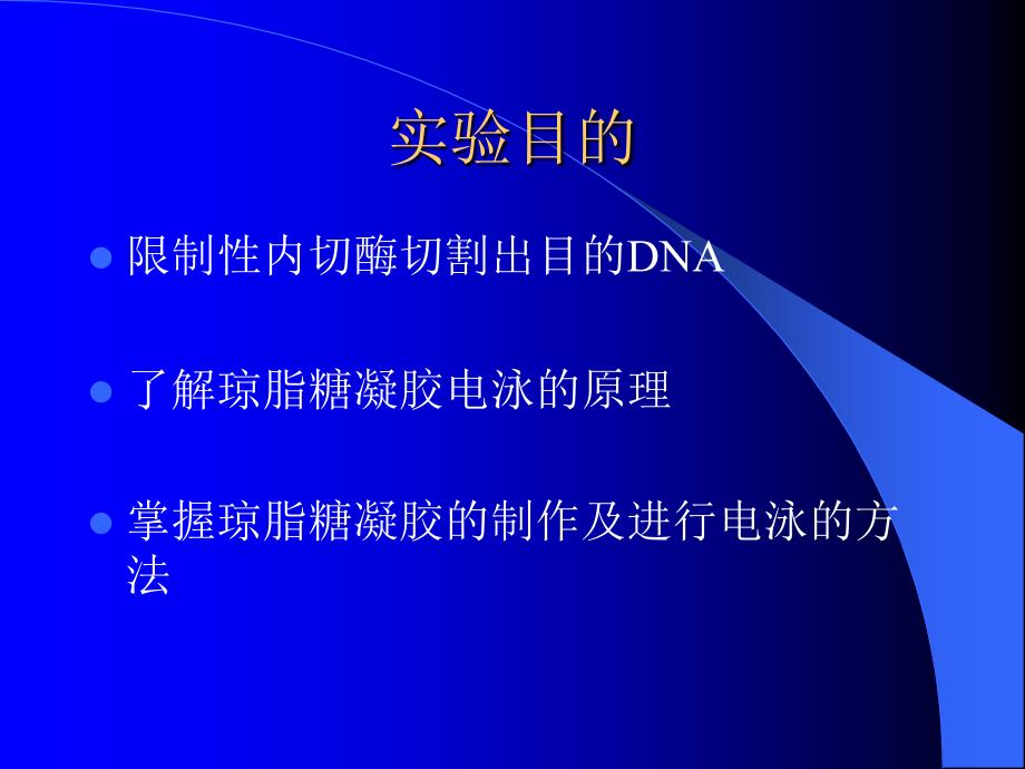 质粒的酶切琼脂糖凝胶电泳分离DNA_第3页