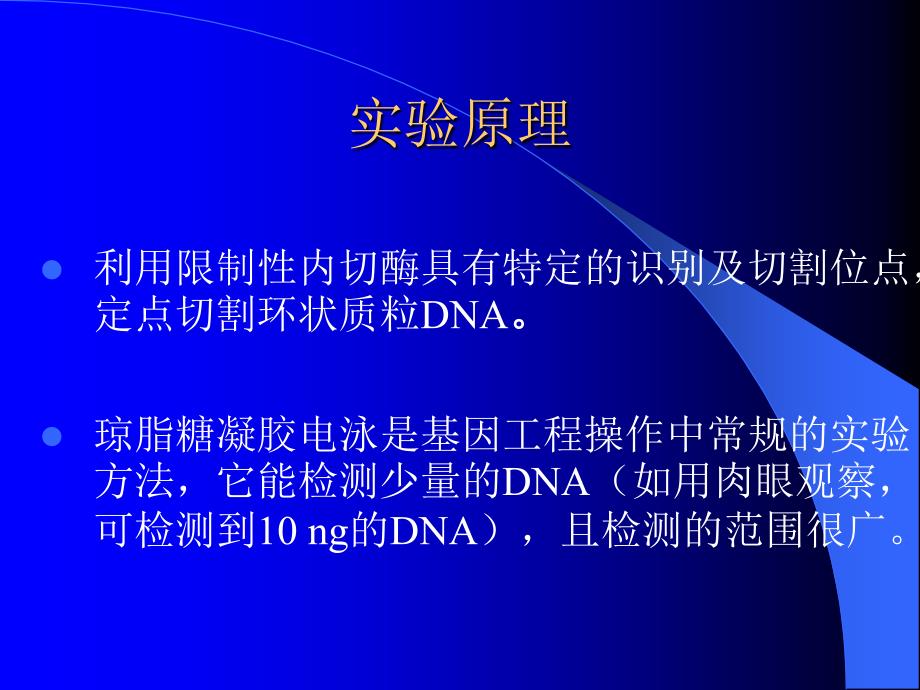 质粒的酶切琼脂糖凝胶电泳分离DNA_第4页