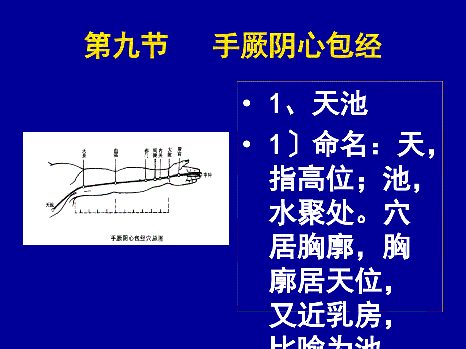 中医中药中医经穴手厥阴心包经陈炳乐_第2页