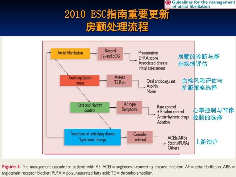 心律失常治疗理念的新转变_第5页