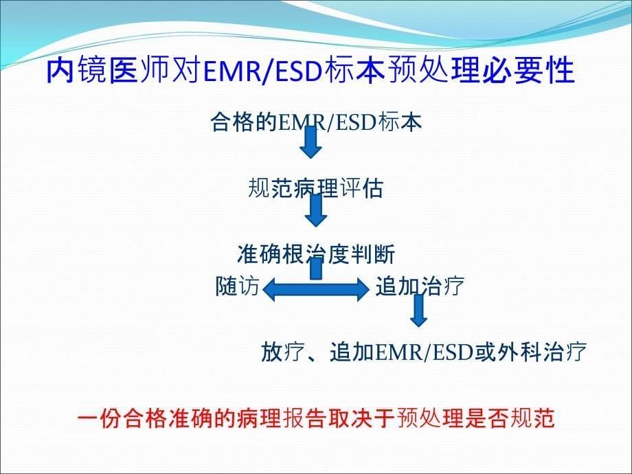 ESD标本病理学检查规范处置流程课件教学文案_第5页