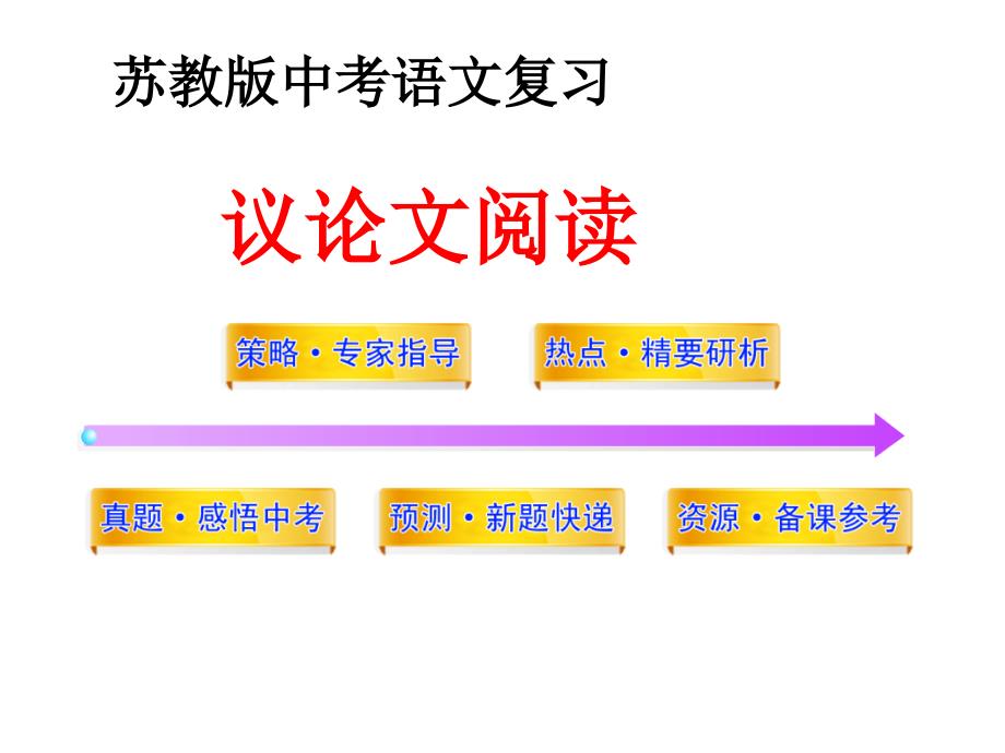 苏教版中考语文总复习课件议论文阅读_第1页