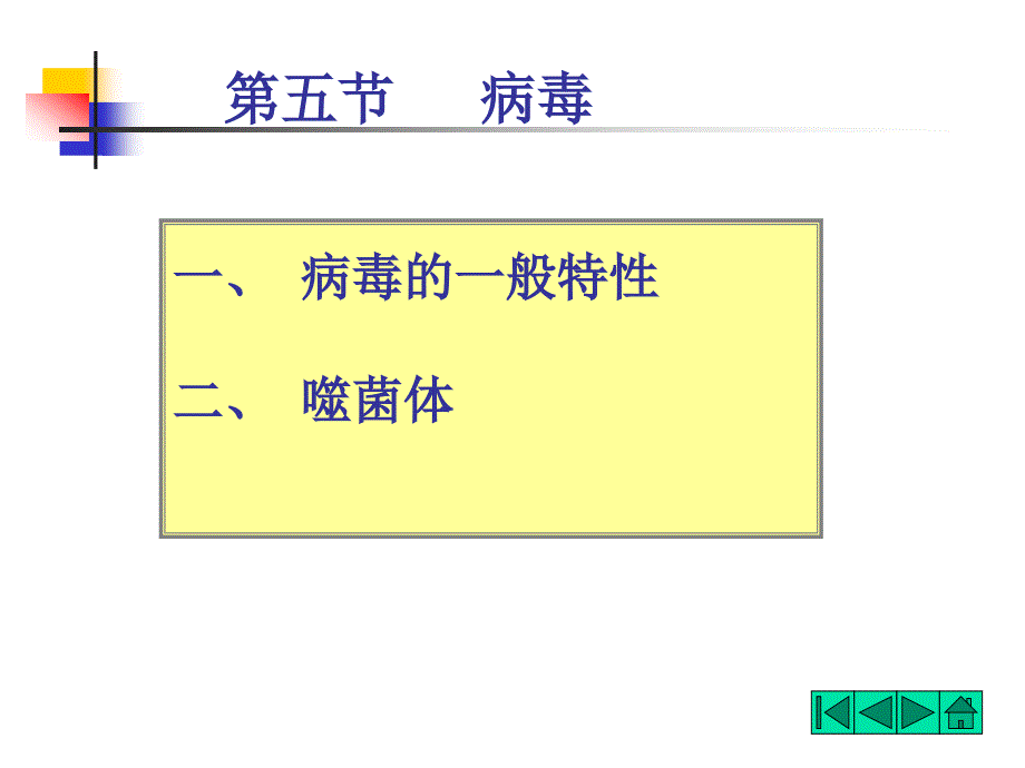 食品微生物学病毒课件_第1页