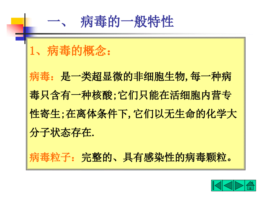 食品微生物学病毒课件_第2页