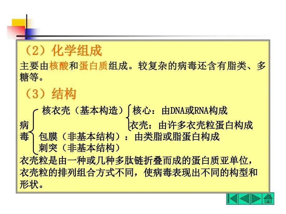 食品微生物学病毒课件_第5页