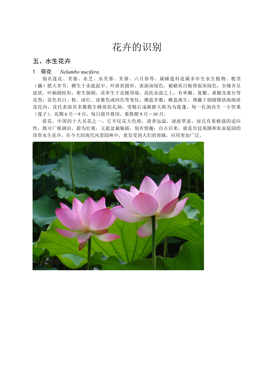 园林花卉植物学5 水生花卉_第1页