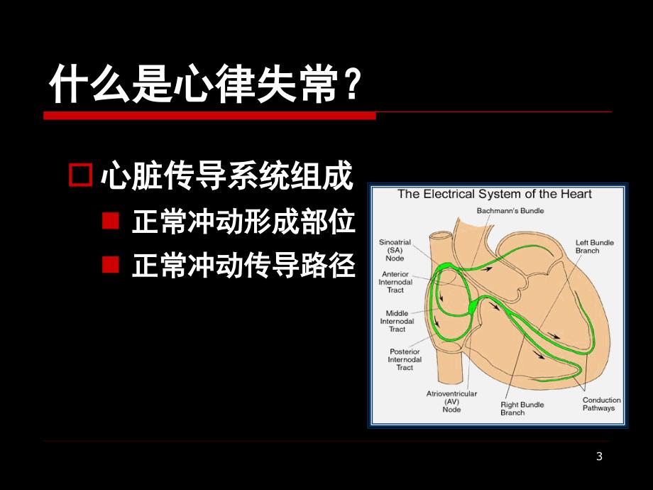 内科学课件：心律失常_第3页