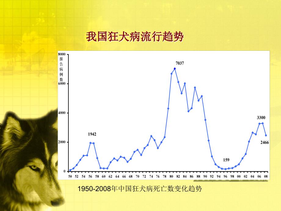 狂犬病的预防措施与宣传课件_第3页