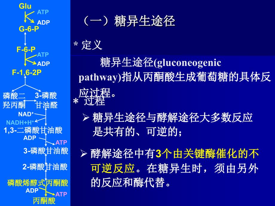 第9章糖类合成代谢_第3页