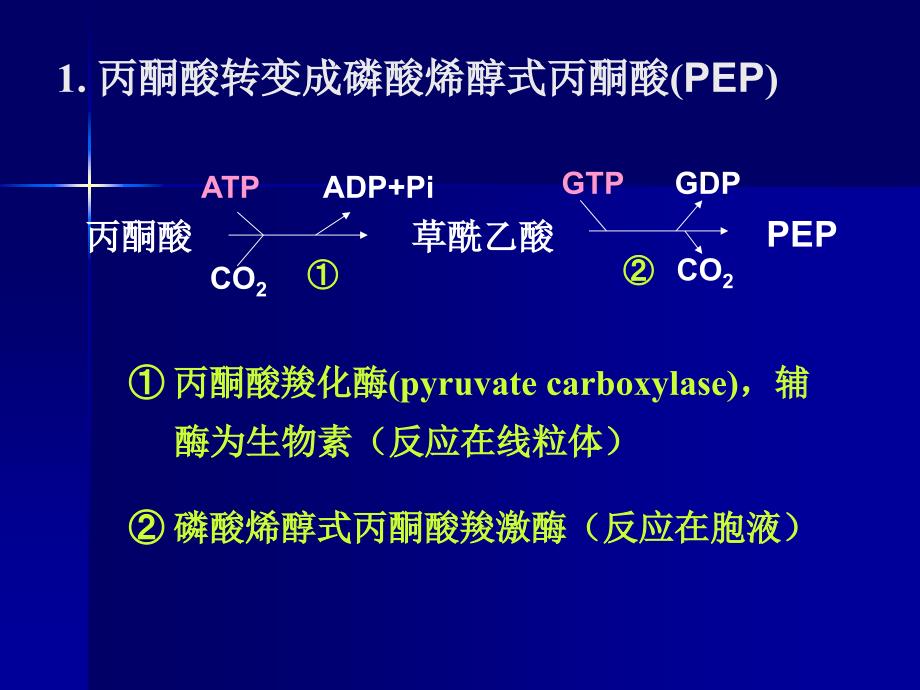 第9章糖类合成代谢_第4页