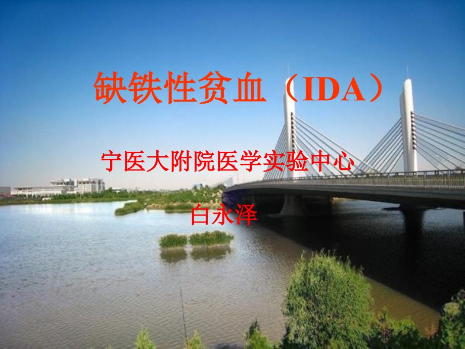 缺铁性贫血骨髓象特点_第1页