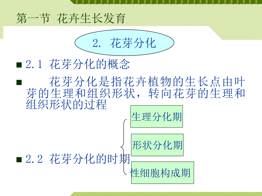 花卉生长发育与环境因子ppt课件_第4页