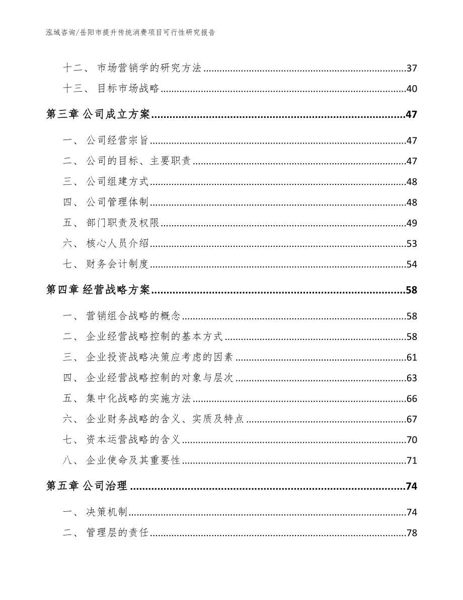 岳阳市提升传统消费项目可行性研究报告模板范本_第2页