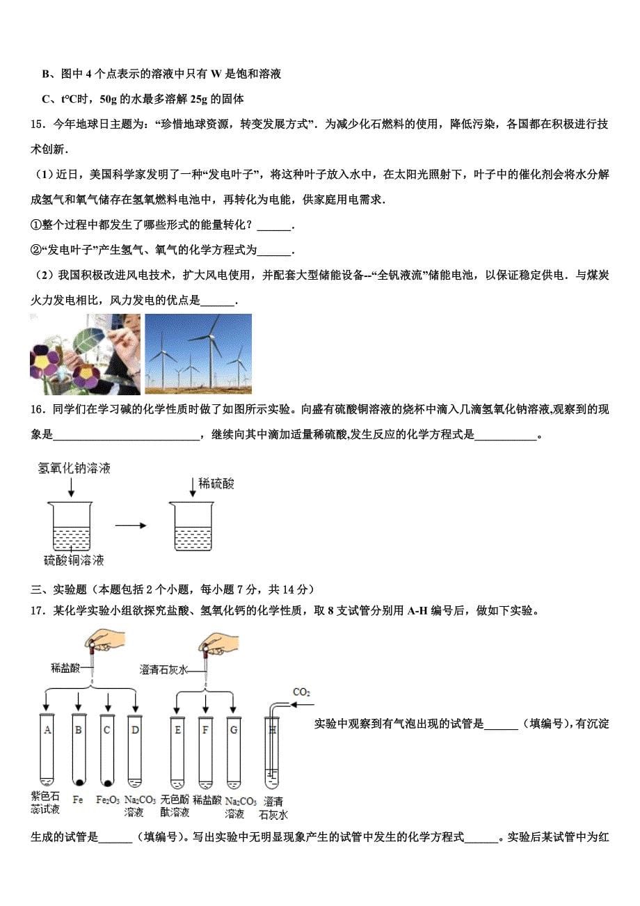 江西省南昌育华校2023年中考化学考试模拟冲刺卷（含答案解析）.doc_第5页