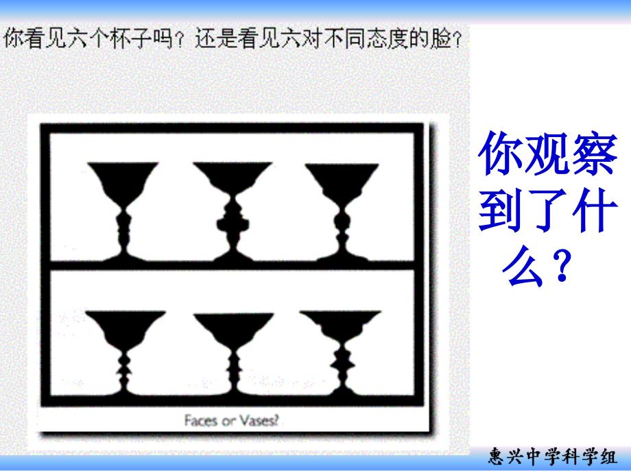 第3-4课时13科学观察_第2页