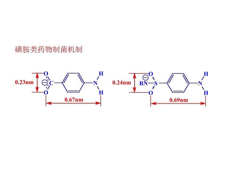 合成抗菌药和抗病毒药_第5页