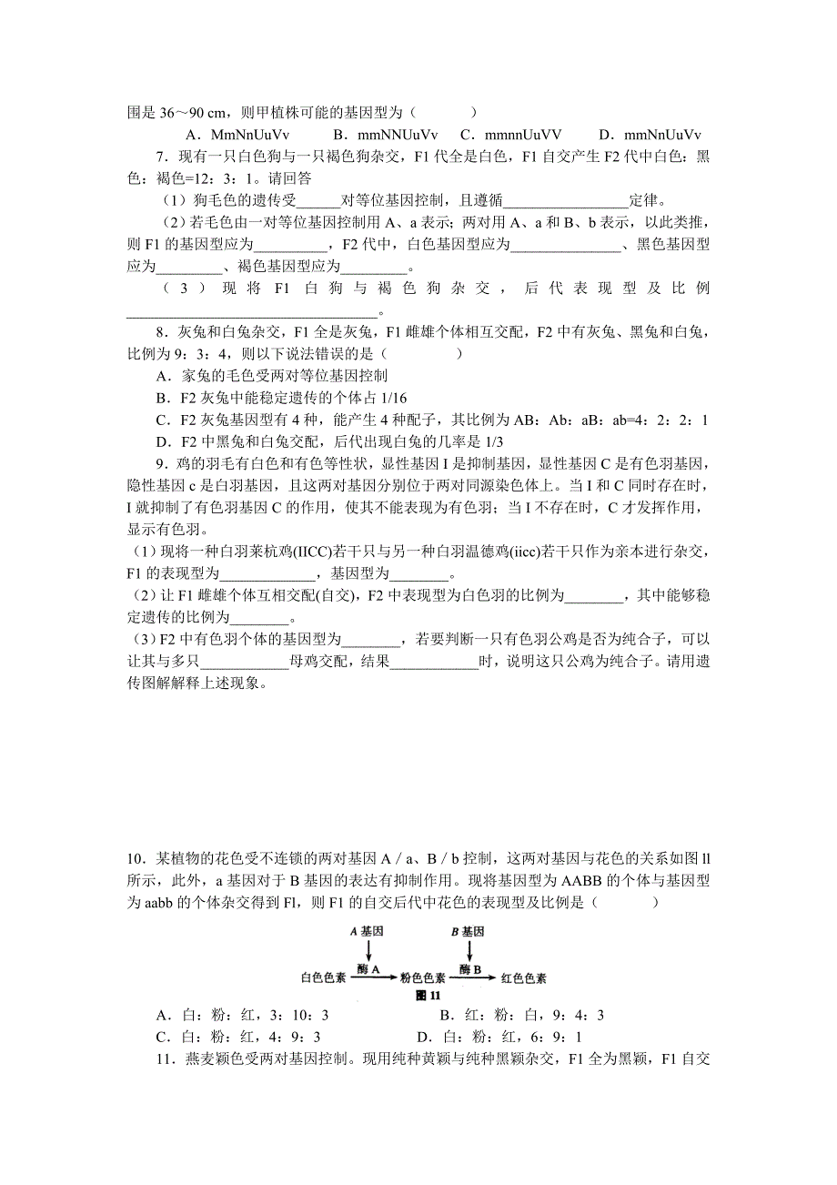 自由组合典型分离比练习.doc_第2页