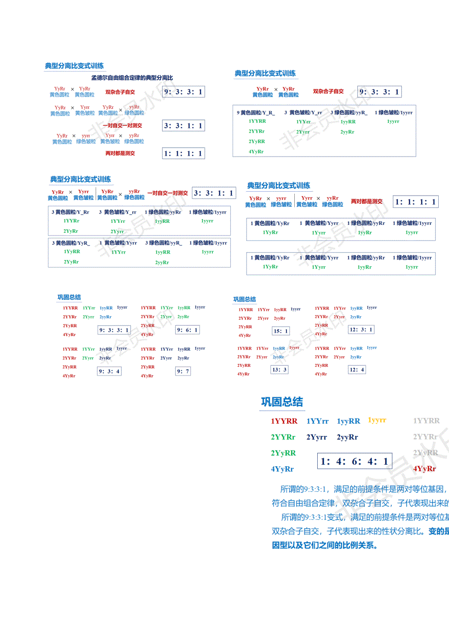 自由组合典型分离比练习.doc_第4页