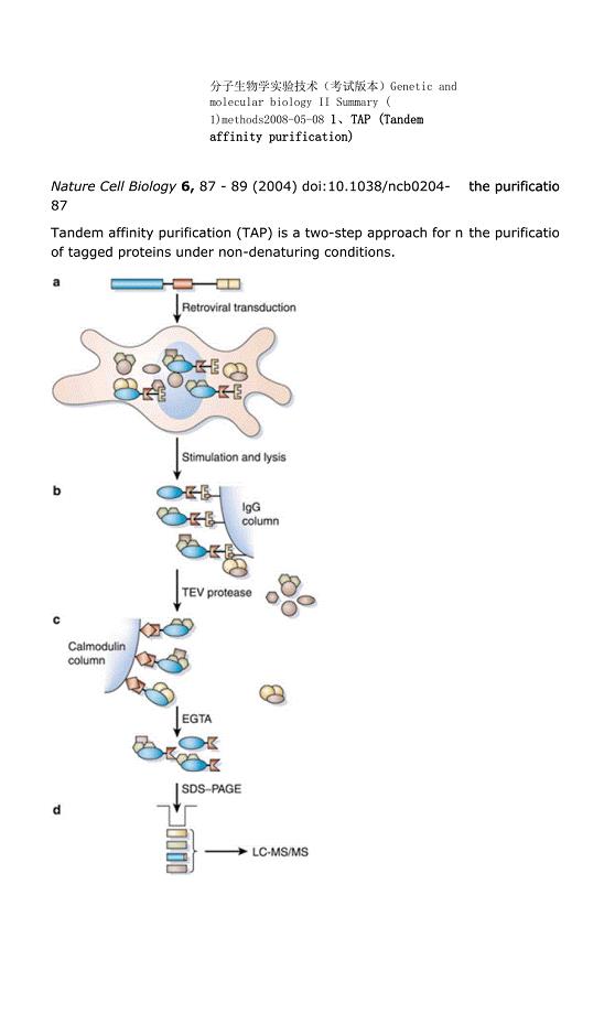 分子生物学实验技术(考试版本).docx