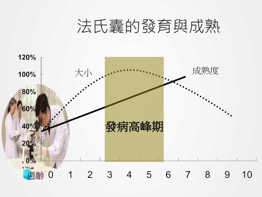 《传染性法氏囊炎》ppt.ppt_第2页